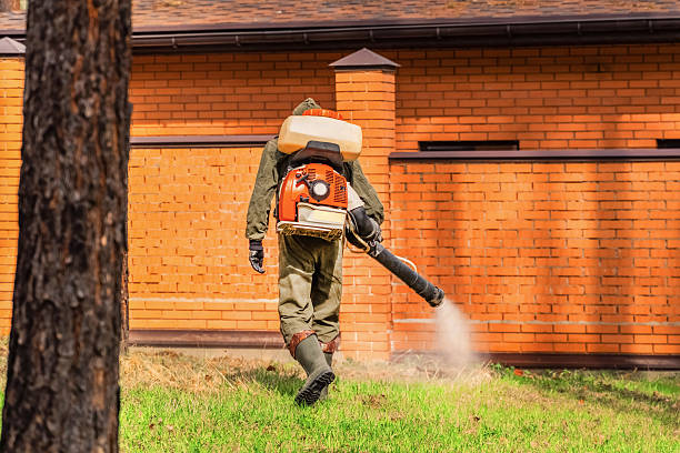 Trusted Emergency Pest Control service in Paris, TN - Nex Pest Control